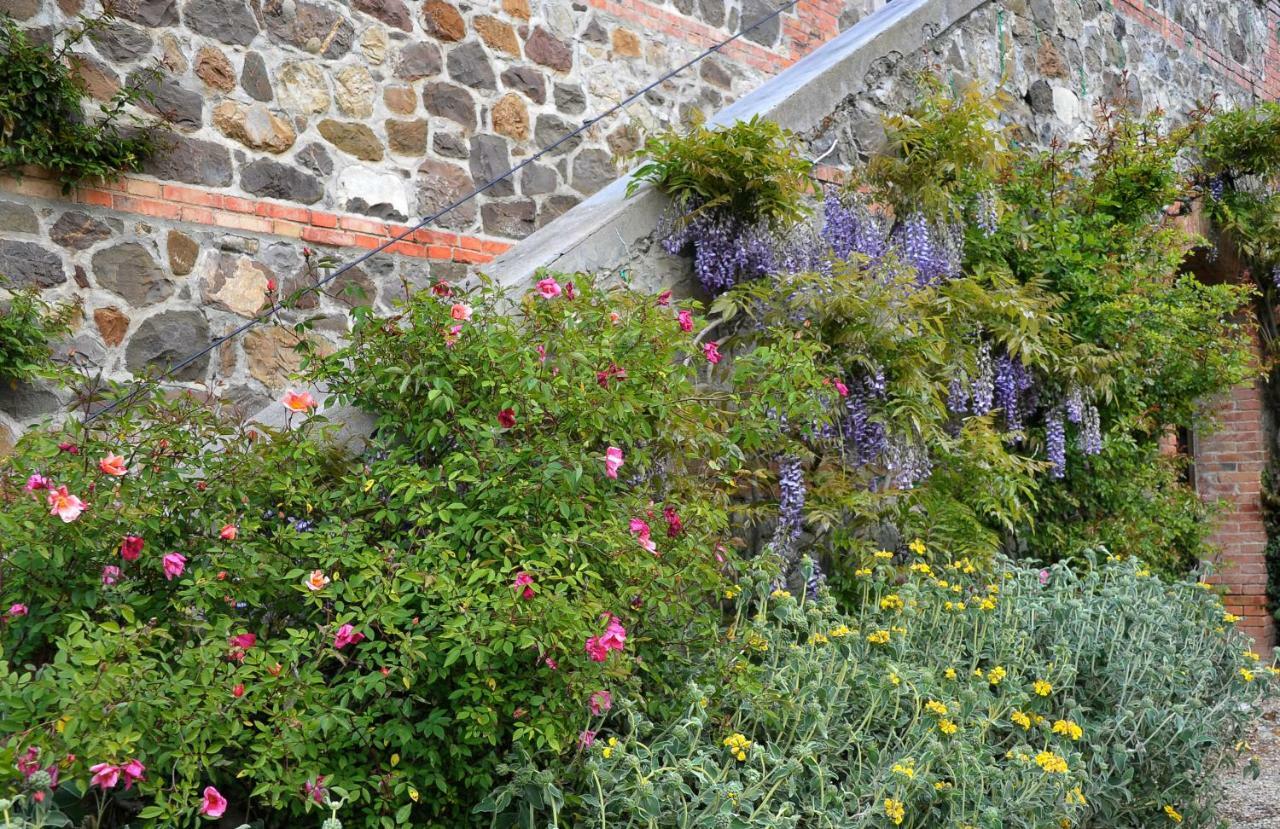 Chiarentana Di Donata Origo Villa Chianciano Terme Dış mekan fotoğraf