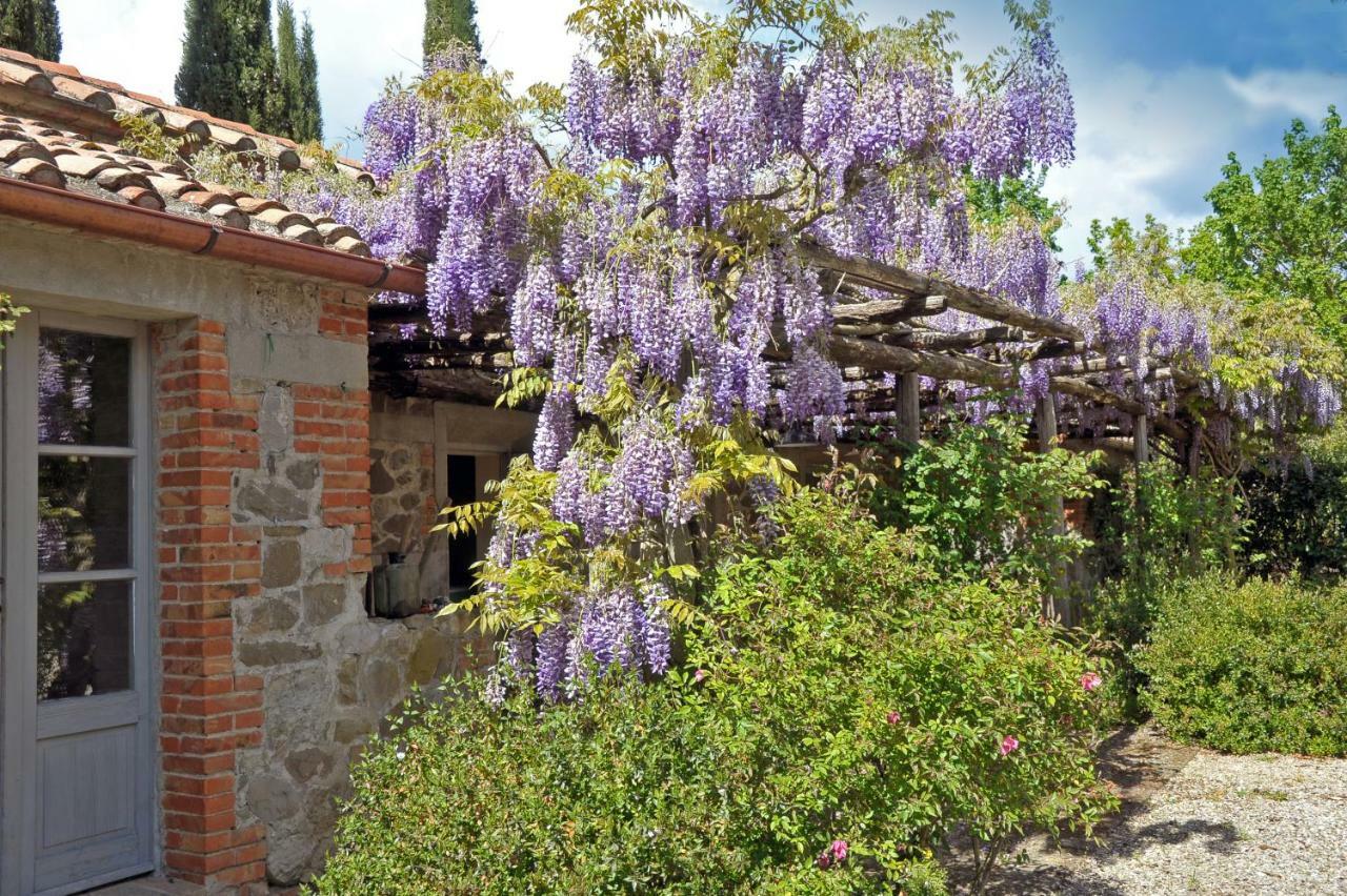 Chiarentana Di Donata Origo Villa Chianciano Terme Dış mekan fotoğraf
